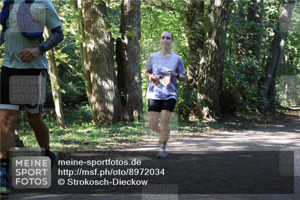 28.09.2025 - 33. Volkslauf durch das schöne Alstertal Strokosch-Dieckow http://msf.ph/oto/8972034 28.09.2025 12:27:39 Laufen 2456 meine-sportfotos.de