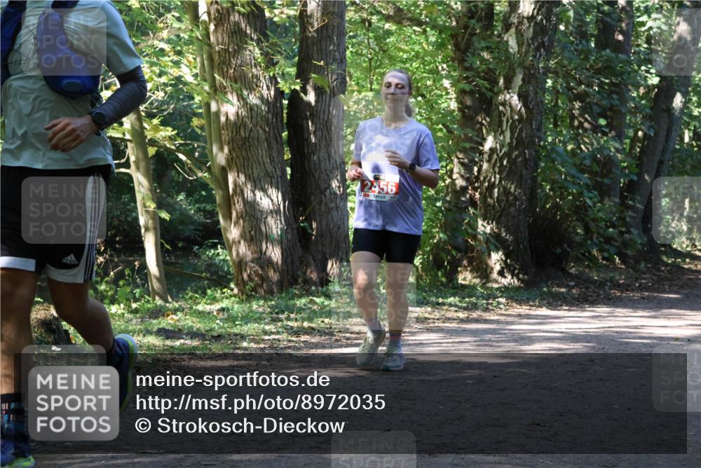 28.09.2025 - 33. Volkslauf durch das schöne Alstertal Strokosch-Dieckow http://msf.ph/oto/8972035 28.09.2025 12:27:39 Laufen 2456 meine-sportfotos.de