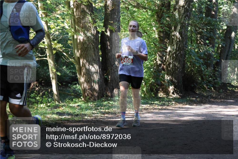 28.09.2025 - 33. Volkslauf durch das schöne Alstertal Strokosch-Dieckow http://msf.ph/oto/8972036 28.09.2025 12:27:39 Laufen 2456 meine-sportfotos.de