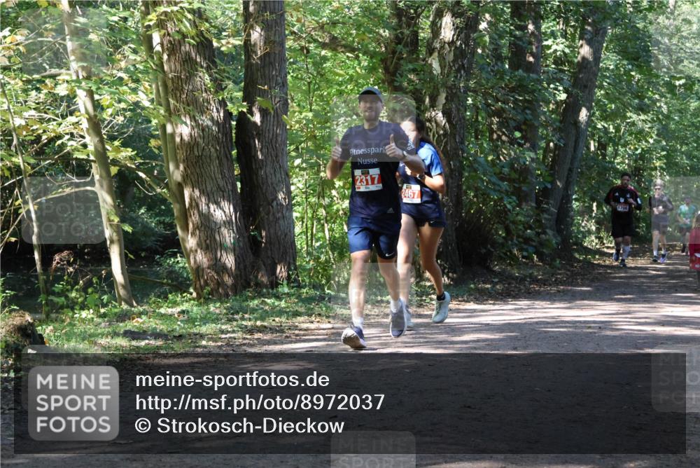 28.09.2025 - 33. Volkslauf durch das schöne Alstertal Strokosch-Dieckow http://msf.ph/oto/8972037 28.09.2025 12:27:46 Laufen 2317, 2467, 1706 meine-sportfotos.de