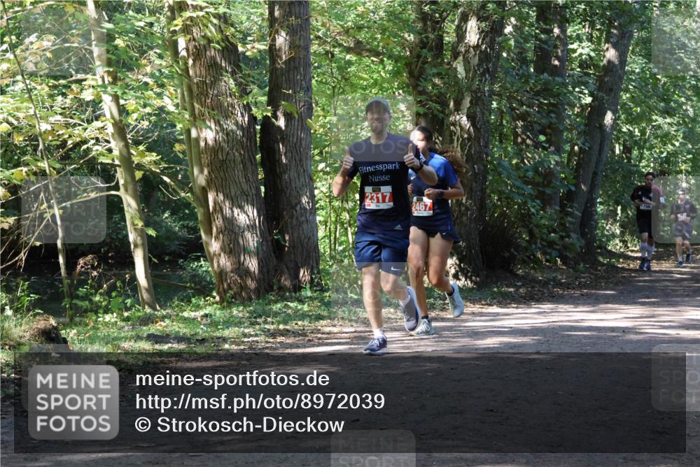 28.09.2025 - 33. Volkslauf durch das schöne Alstertal Strokosch-Dieckow http://msf.ph/oto/8972039 28.09.2025 12:27:46 Laufen 2317, 2467, 1706 meine-sportfotos.de