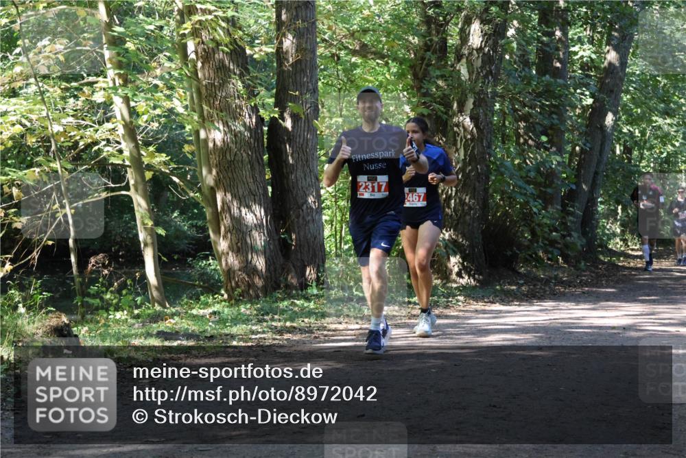 28.09.2025 - 33. Volkslauf durch das schöne Alstertal Strokosch-Dieckow http://msf.ph/oto/8972042 28.09.2025 12:27:46 Laufen 2317, 467 meine-sportfotos.de