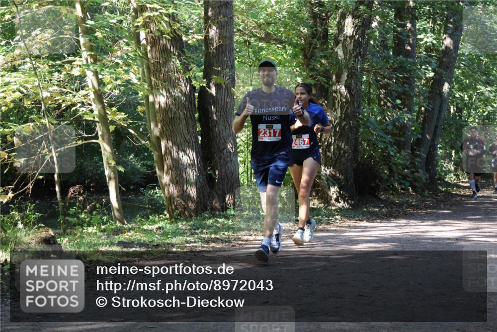 28.09.2025 - 33. Volkslauf durch das schöne Alstertal Strokosch-Dieckow http://msf.ph/oto/8972043 28.09.2025 12:27:46 Laufen 2317, 2467 meine-sportfotos.de