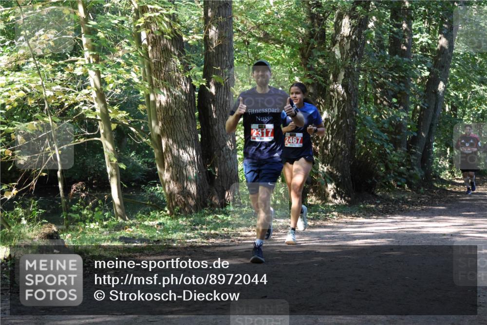 28.09.2025 - 33. Volkslauf durch das schöne Alstertal Strokosch-Dieckow http://msf.ph/oto/8972044 28.09.2025 12:27:47 Laufen 2317, 2467 meine-sportfotos.de