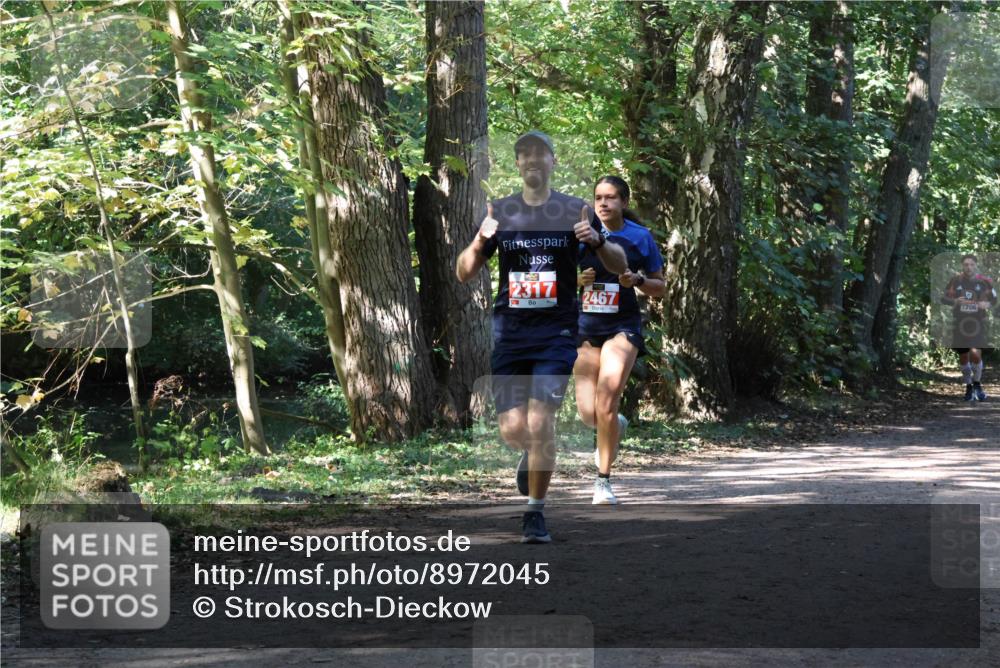 28.09.2025 - 33. Volkslauf durch das schöne Alstertal Strokosch-Dieckow http://msf.ph/oto/8972045 28.09.2025 12:27:47 Laufen 2317, 2467, 1706 meine-sportfotos.de