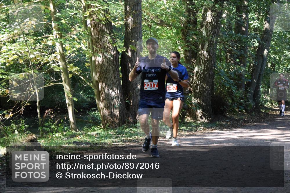 28.09.2025 - 33. Volkslauf durch das schöne Alstertal Strokosch-Dieckow http://msf.ph/oto/8972046 28.09.2025 12:27:47 Laufen 2317, 7, 2467, 1706 meine-sportfotos.de