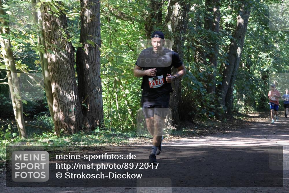 28.09.2025 - 33. Volkslauf durch das schöne Alstertal Strokosch-Dieckow http://msf.ph/oto/8972047 28.09.2025 12:28:44 Laufen 2176 meine-sportfotos.de