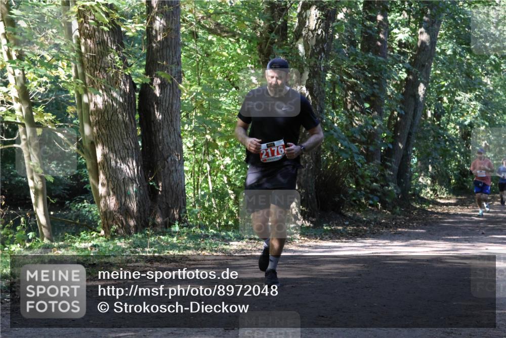 28.09.2025 - 33. Volkslauf durch das schöne Alstertal Strokosch-Dieckow http://msf.ph/oto/8972048 28.09.2025 12:28:44 Laufen 2176, 1274 meine-sportfotos.de