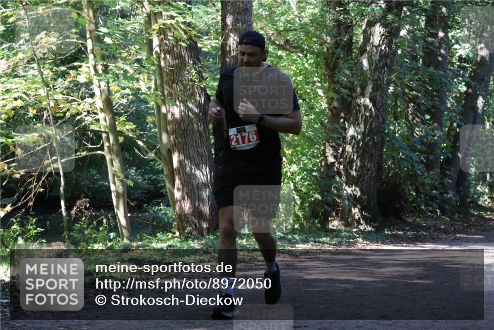 28.09.2025 - 33. Volkslauf durch das schöne Alstertal Strokosch-Dieckow http://msf.ph/oto/8972050 28.09.2025 12:28:45 Laufen 2176 meine-sportfotos.de