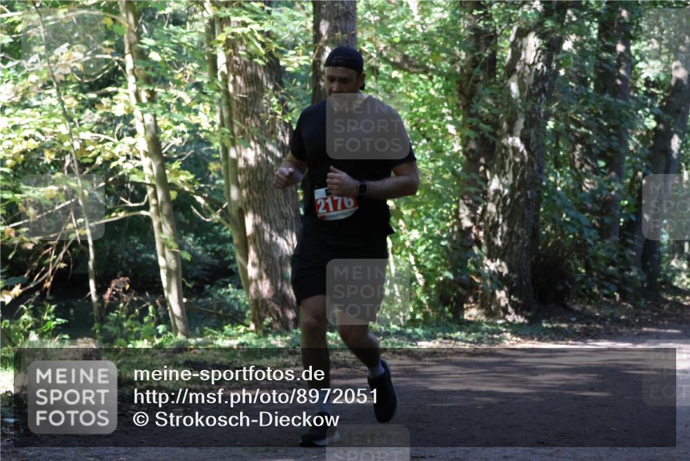 28.09.2025 - 33. Volkslauf durch das schöne Alstertal Strokosch-Dieckow http://msf.ph/oto/8972051 28.09.2025 12:28:45 Laufen 2176 meine-sportfotos.de
