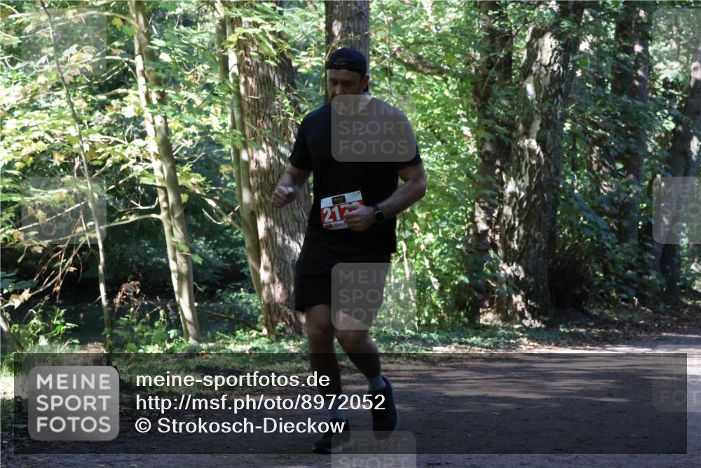 28.09.2025 - 33. Volkslauf durch das schöne Alstertal Strokosch-Dieckow http://msf.ph/oto/8972052 28.09.2025 12:28:45 Laufen 212 meine-sportfotos.de