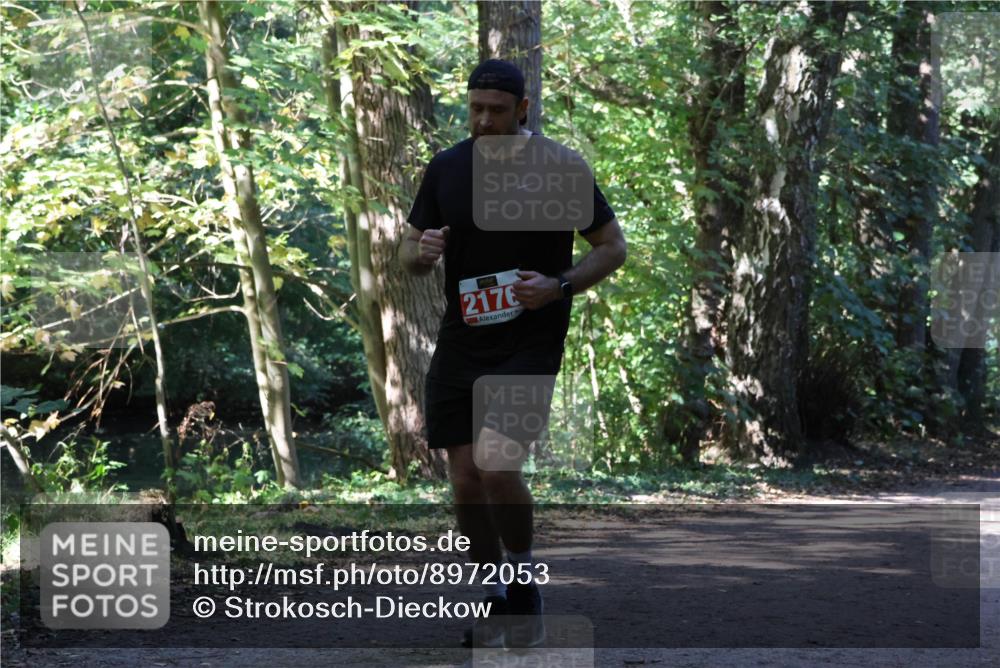 28.09.2025 - 33. Volkslauf durch das schöne Alstertal Strokosch-Dieckow http://msf.ph/oto/8972053 28.09.2025 12:28:46 Laufen 2176 meine-sportfotos.de