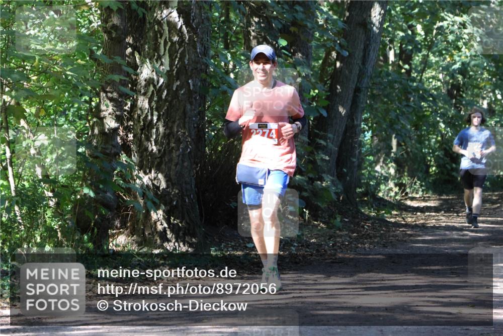 28.09.2025 - 33. Volkslauf durch das schöne Alstertal Strokosch-Dieckow http://msf.ph/oto/8972056 28.09.2025 12:28:51 Laufen 2274 meine-sportfotos.de