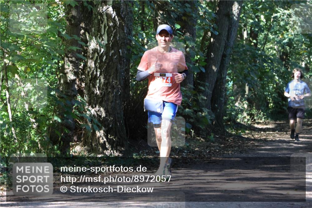 28.09.2025 - 33. Volkslauf durch das schöne Alstertal Strokosch-Dieckow http://msf.ph/oto/8972057 28.09.2025 12:28:51 Laufen 74 meine-sportfotos.de