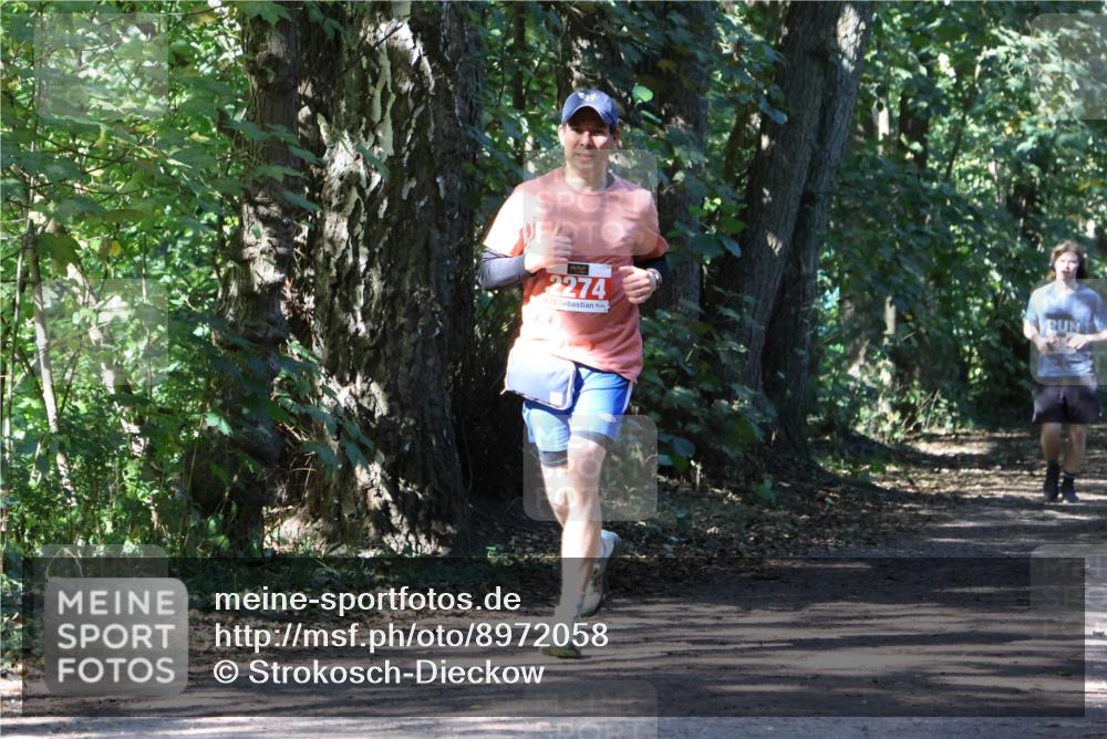 28.09.2025 - 33. Volkslauf durch das schöne Alstertal Strokosch-Dieckow http://msf.ph/oto/8972058 28.09.2025 12:28:51 Laufen 2274 meine-sportfotos.de