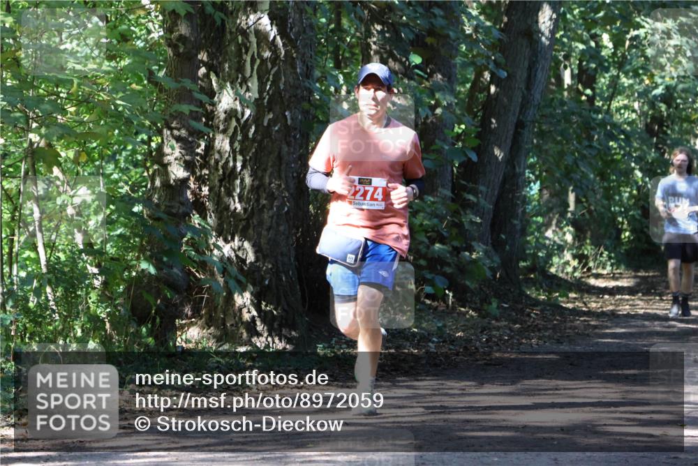 28.09.2025 - 33. Volkslauf durch das schöne Alstertal Strokosch-Dieckow http://msf.ph/oto/8972059 28.09.2025 12:28:51 Laufen 2274 meine-sportfotos.de