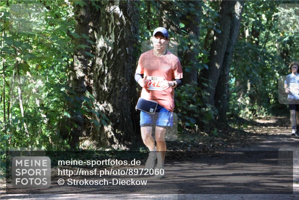 28.09.2025 - 33. Volkslauf durch das schöne Alstertal Strokosch-Dieckow http://msf.ph/oto/8972060 28.09.2025 12:28:51 Laufen 2274 meine-sportfotos.de