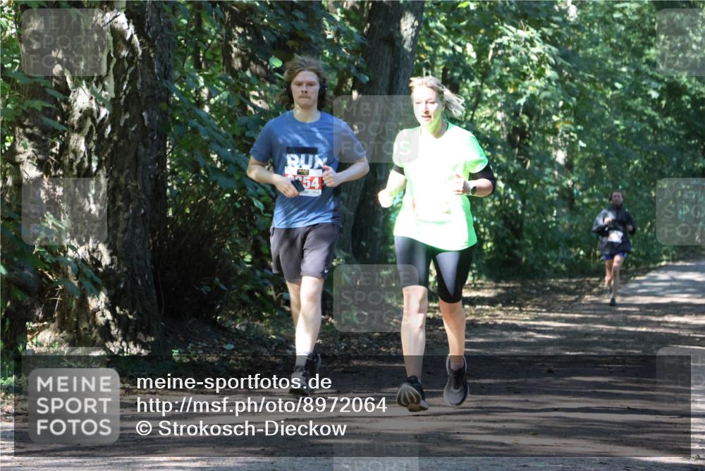 28.09.2025 - 33. Volkslauf durch das schöne Alstertal Strokosch-Dieckow http://msf.ph/oto/8972064 28.09.2025 12:28:58 Laufen 54 meine-sportfotos.de