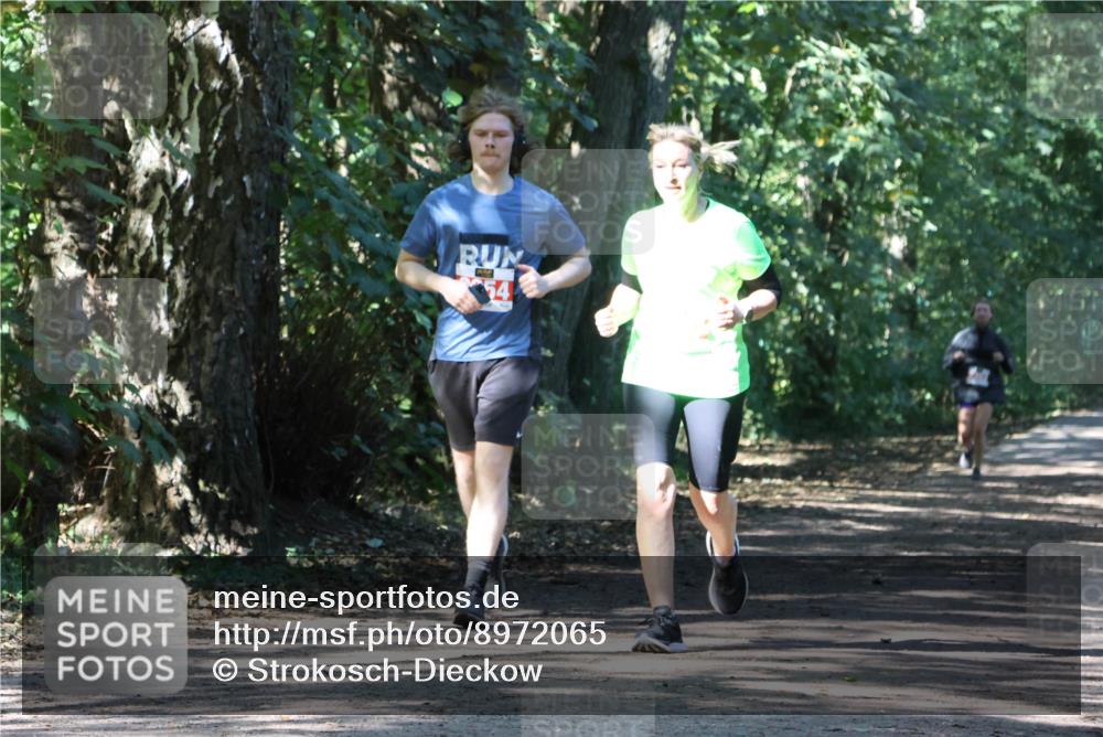 28.09.2025 - 33. Volkslauf durch das schöne Alstertal Strokosch-Dieckow http://msf.ph/oto/8972065 28.09.2025 12:28:59 Laufen 54 meine-sportfotos.de