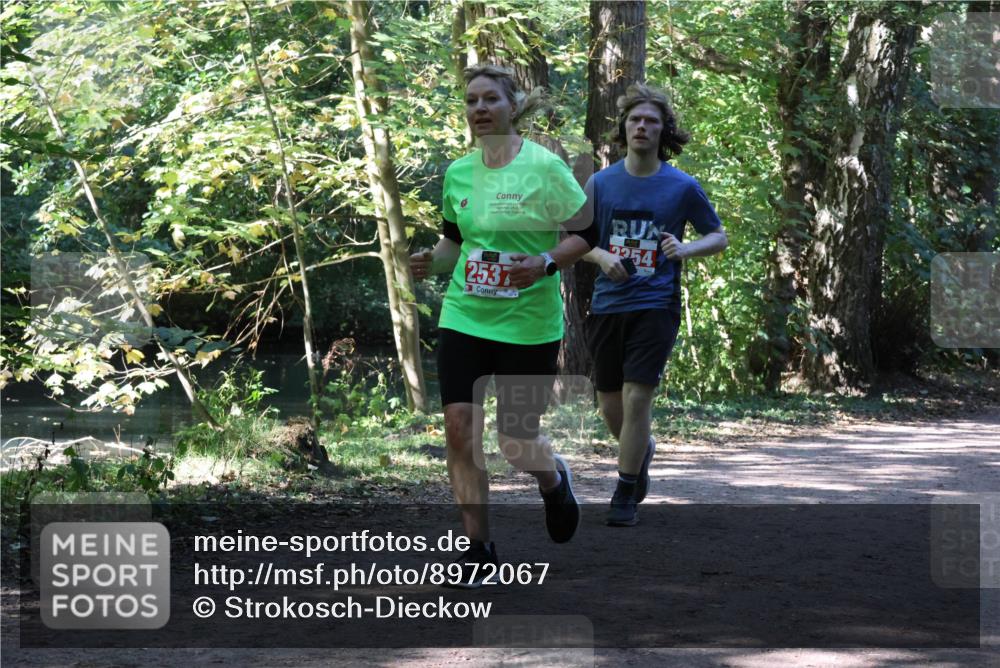 28.09.2025 - 33. Volkslauf durch das schöne Alstertal Strokosch-Dieckow http://msf.ph/oto/8972067 28.09.2025 12:29:02 Laufen 2537, 2254 meine-sportfotos.de