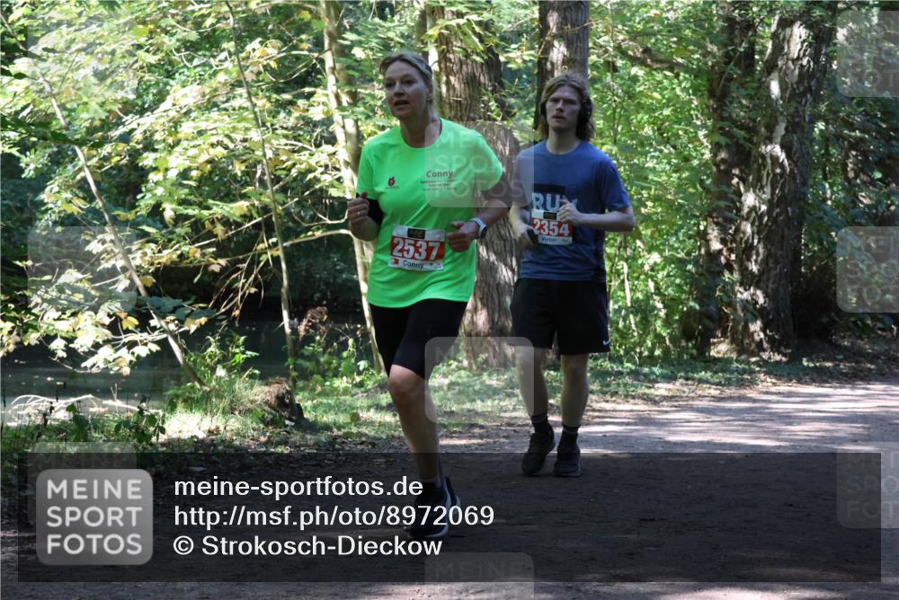 28.09.2025 - 33. Volkslauf durch das schöne Alstertal Strokosch-Dieckow http://msf.ph/oto/8972069 28.09.2025 12:29:02 Laufen 2354, 2537 meine-sportfotos.de