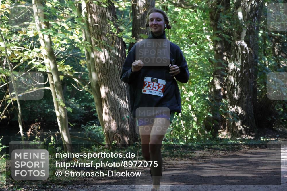 28.09.2025 - 33. Volkslauf durch das schöne Alstertal Strokosch-Dieckow http://msf.ph/oto/8972075 28.09.2025 12:29:12 Laufen 2352 meine-sportfotos.de