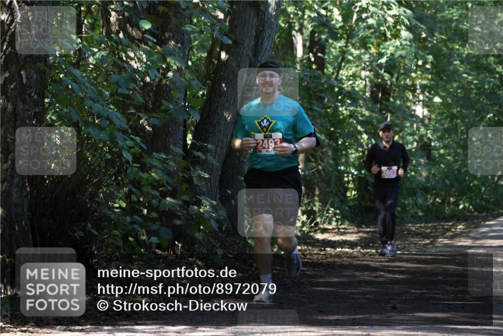 28.09.2025 - 33. Volkslauf durch das schöne Alstertal Strokosch-Dieckow http://msf.ph/oto/8972079 28.09.2025 12:29:26 Laufen 2493, 2603 meine-sportfotos.de