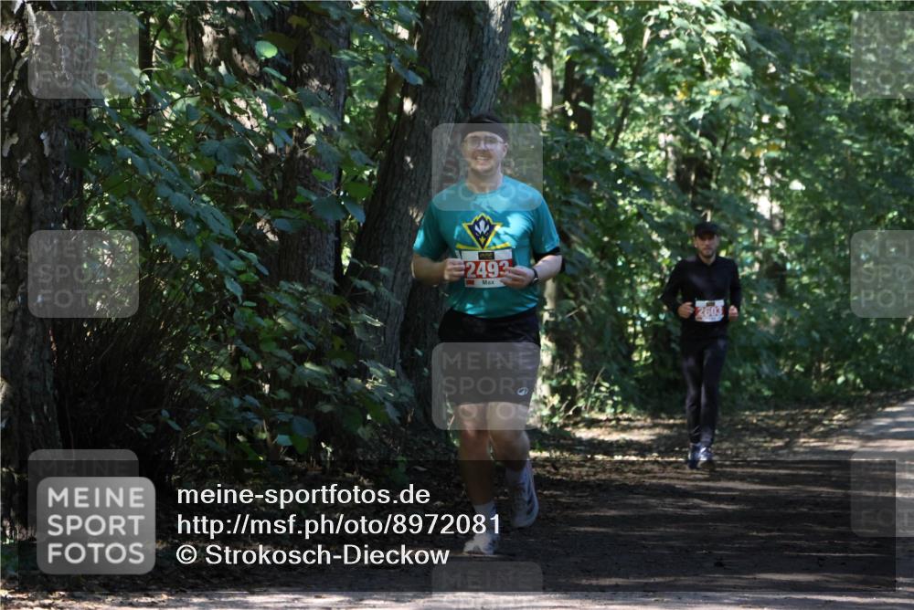 28.09.2025 - 33. Volkslauf durch das schöne Alstertal Strokosch-Dieckow http://msf.ph/oto/8972081 28.09.2025 12:29:26 Laufen 2493, 2603 meine-sportfotos.de