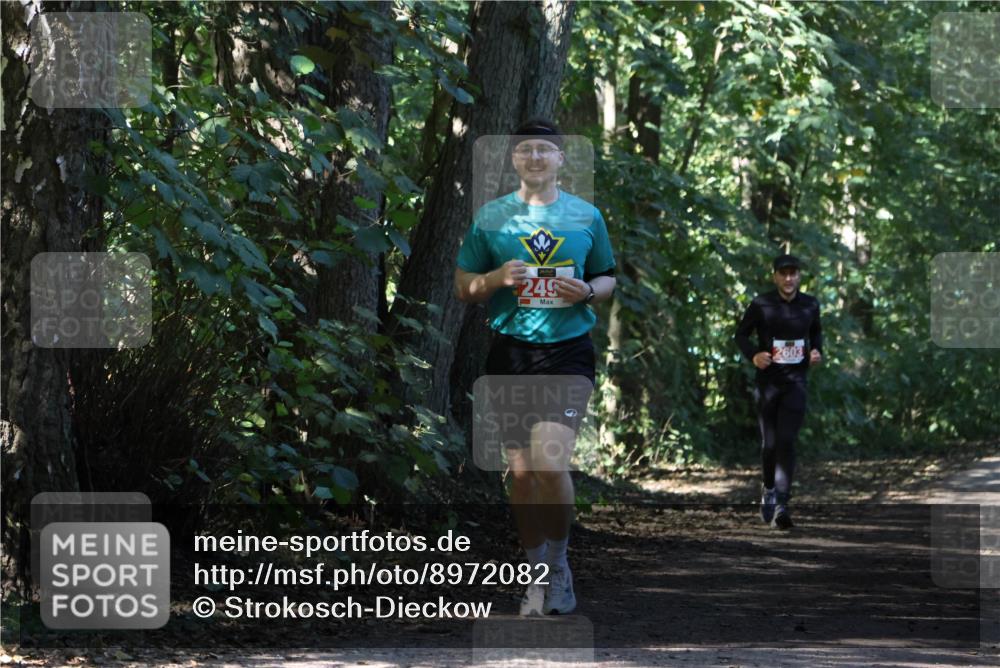 28.09.2025 - 33. Volkslauf durch das schöne Alstertal Strokosch-Dieckow http://msf.ph/oto/8972082 28.09.2025 12:29:26 Laufen 249, 2603 meine-sportfotos.de