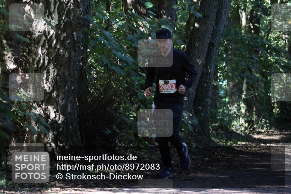 28.09.2025 - 33. Volkslauf durch das schöne Alstertal Strokosch-Dieckow http://msf.ph/oto/8972083 28.09.2025 12:29:34 Laufen 2603 meine-sportfotos.de