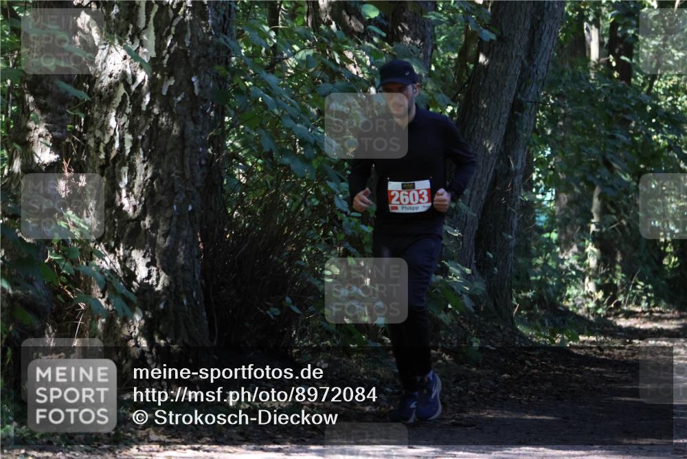 28.09.2025 - 33. Volkslauf durch das schöne Alstertal Strokosch-Dieckow http://msf.ph/oto/8972084 28.09.2025 12:29:34 Laufen 2603 meine-sportfotos.de