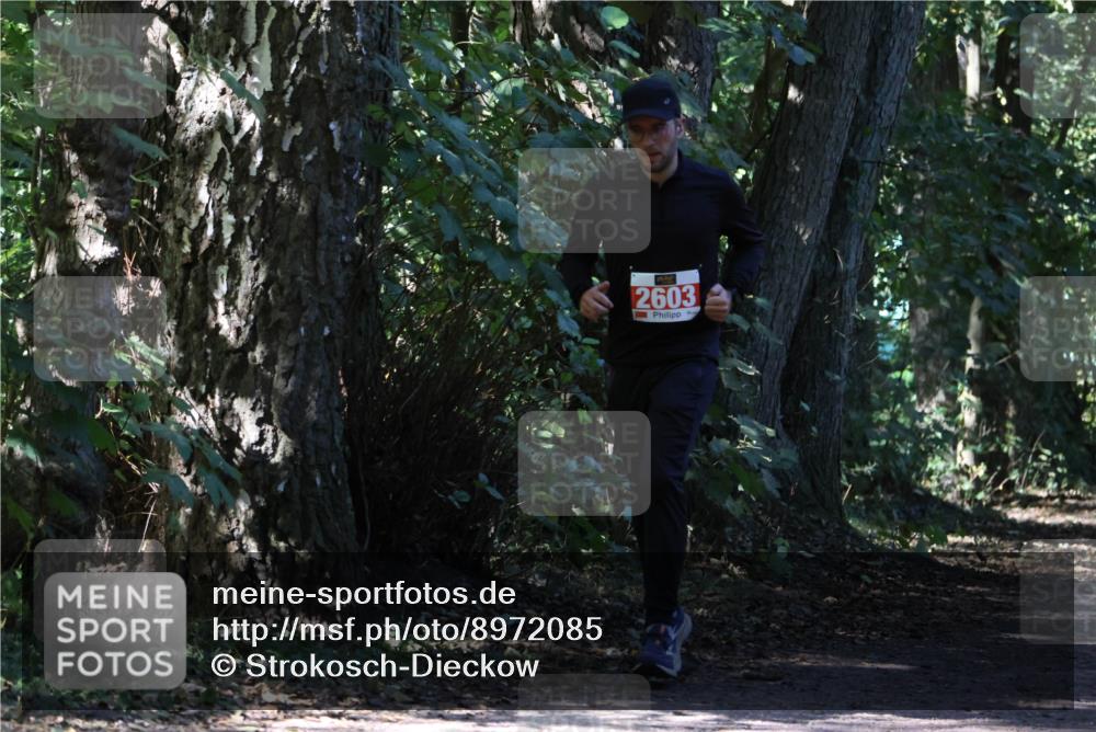 28.09.2025 - 33. Volkslauf durch das schöne Alstertal Strokosch-Dieckow http://msf.ph/oto/8972085 28.09.2025 12:29:34 Laufen 2603 meine-sportfotos.de