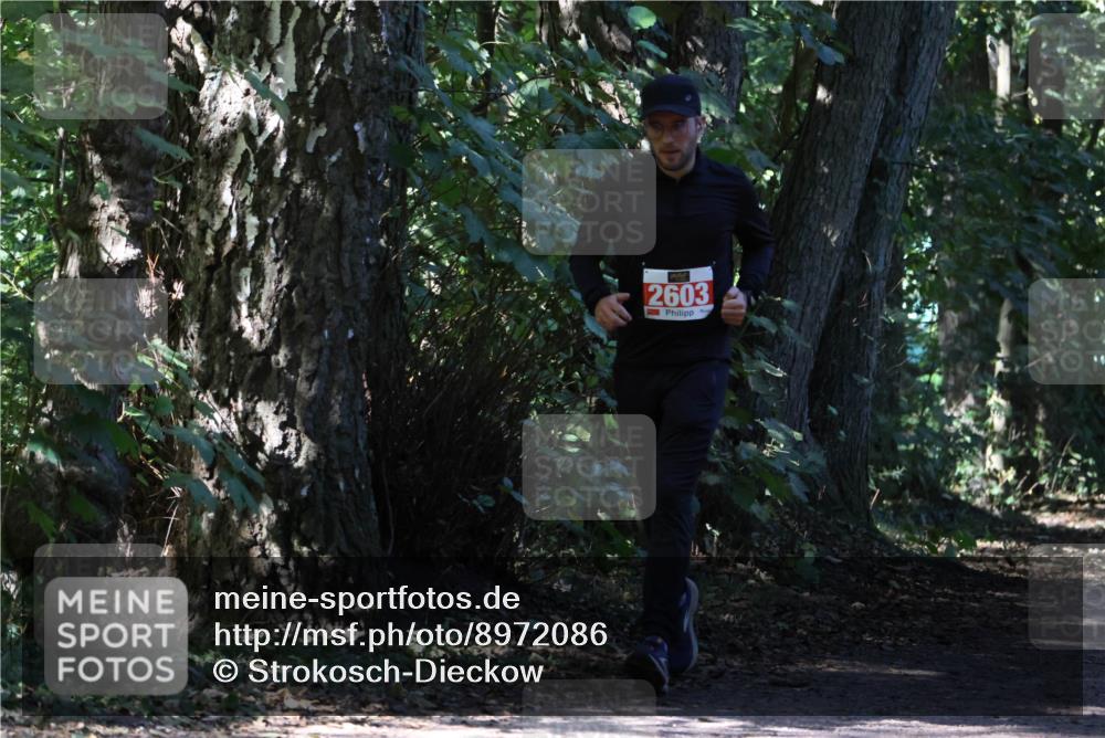 28.09.2025 - 33. Volkslauf durch das schöne Alstertal Strokosch-Dieckow http://msf.ph/oto/8972086 28.09.2025 12:29:34 Laufen 2603 meine-sportfotos.de