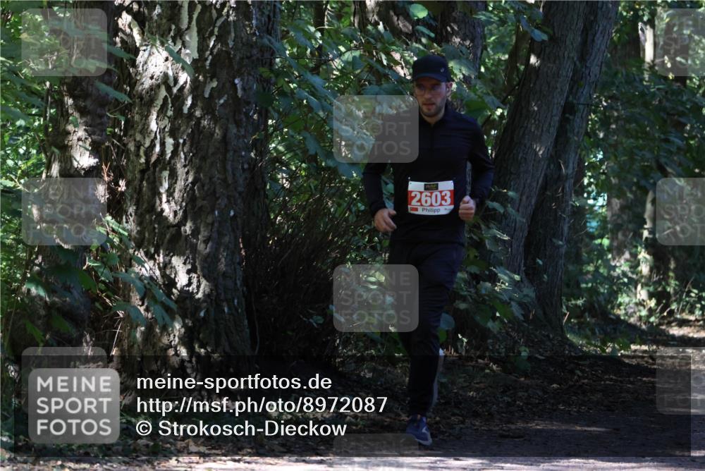 28.09.2025 - 33. Volkslauf durch das schöne Alstertal Strokosch-Dieckow http://msf.ph/oto/8972087 28.09.2025 12:29:34 Laufen 2603 meine-sportfotos.de