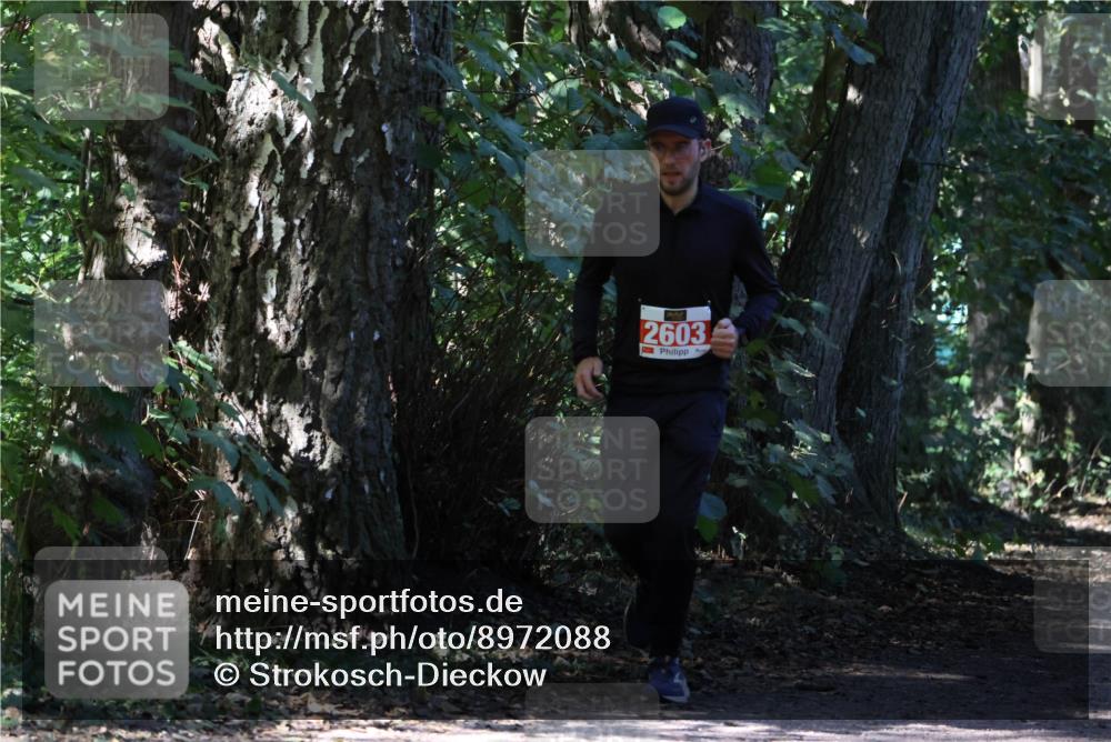 28.09.2025 - 33. Volkslauf durch das schöne Alstertal Strokosch-Dieckow http://msf.ph/oto/8972088 28.09.2025 12:29:34 Laufen 2603 meine-sportfotos.de
