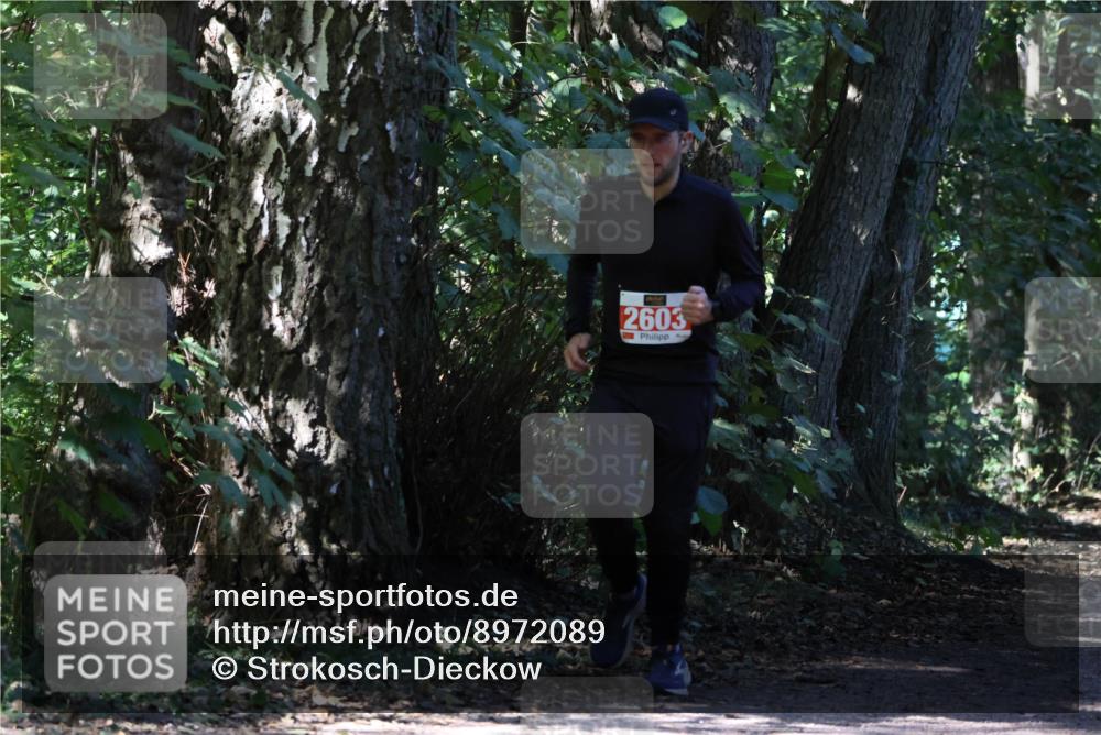 28.09.2025 - 33. Volkslauf durch das schöne Alstertal Strokosch-Dieckow http://msf.ph/oto/8972089 28.09.2025 12:29:35 Laufen 2603 meine-sportfotos.de