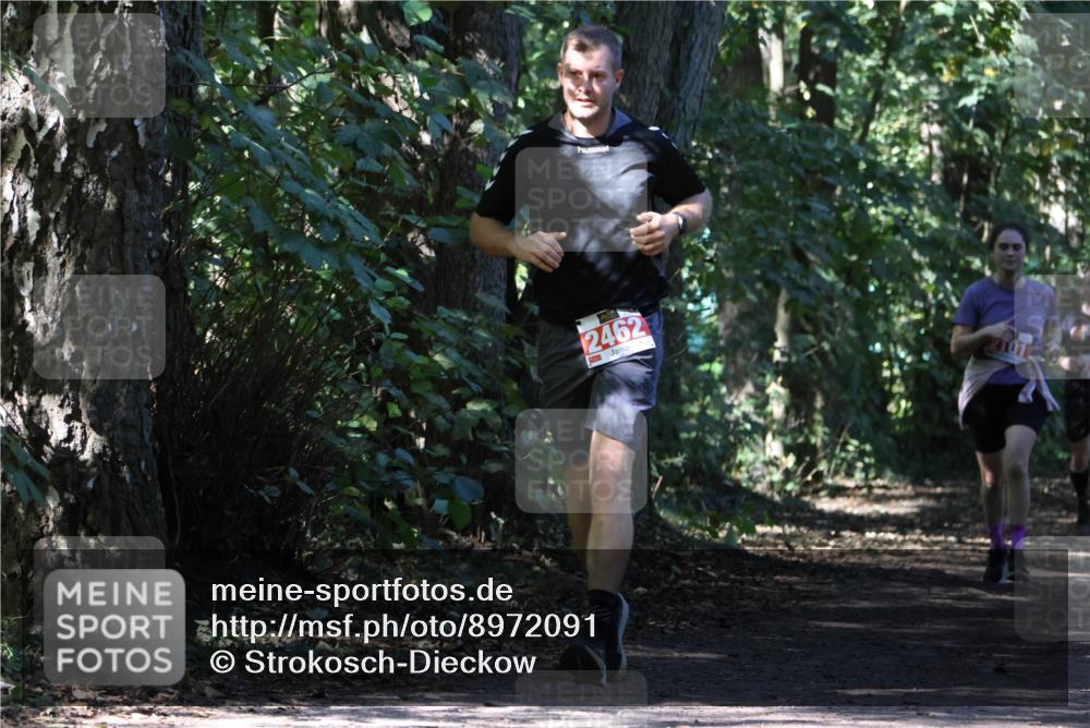28.09.2025 - 33. Volkslauf durch das schöne Alstertal Strokosch-Dieckow http://msf.ph/oto/8972091 28.09.2025 12:29:44 Laufen 2462 meine-sportfotos.de