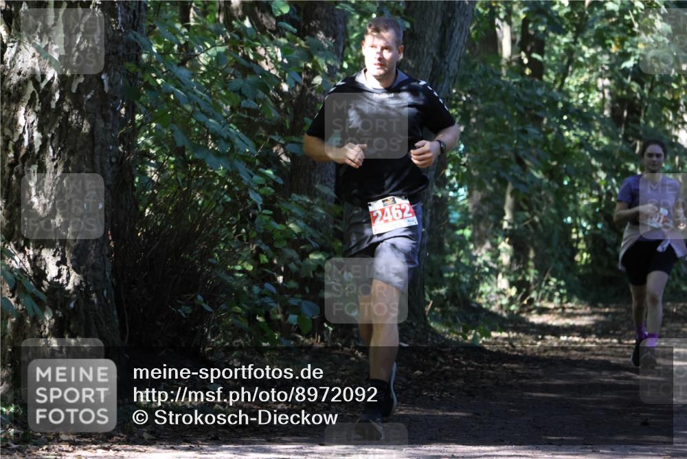 28.09.2025 - 33. Volkslauf durch das schöne Alstertal Strokosch-Dieckow http://msf.ph/oto/8972092 28.09.2025 12:29:44 Laufen 2462 meine-sportfotos.de