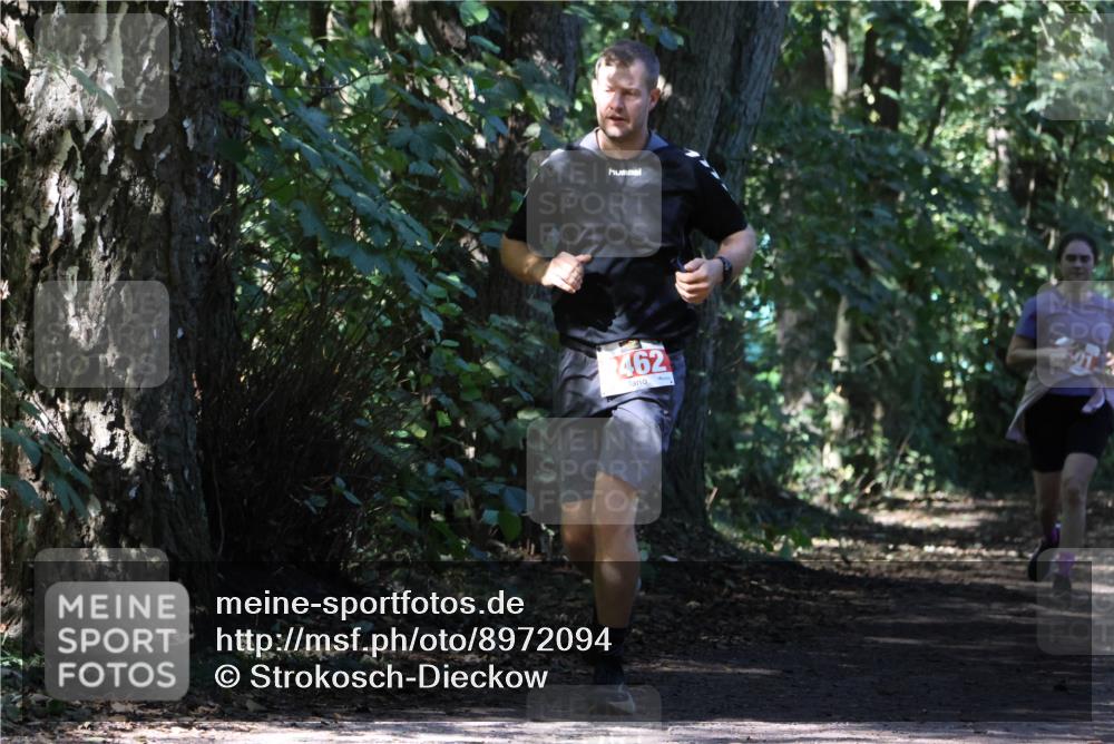 28.09.2025 - 33. Volkslauf durch das schöne Alstertal Strokosch-Dieckow http://msf.ph/oto/8972094 28.09.2025 12:29:44 Laufen 462 meine-sportfotos.de