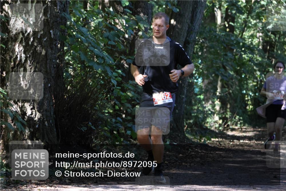 28.09.2025 - 33. Volkslauf durch das schöne Alstertal Strokosch-Dieckow http://msf.ph/oto/8972095 28.09.2025 12:29:45 Laufen 62, 101 meine-sportfotos.de