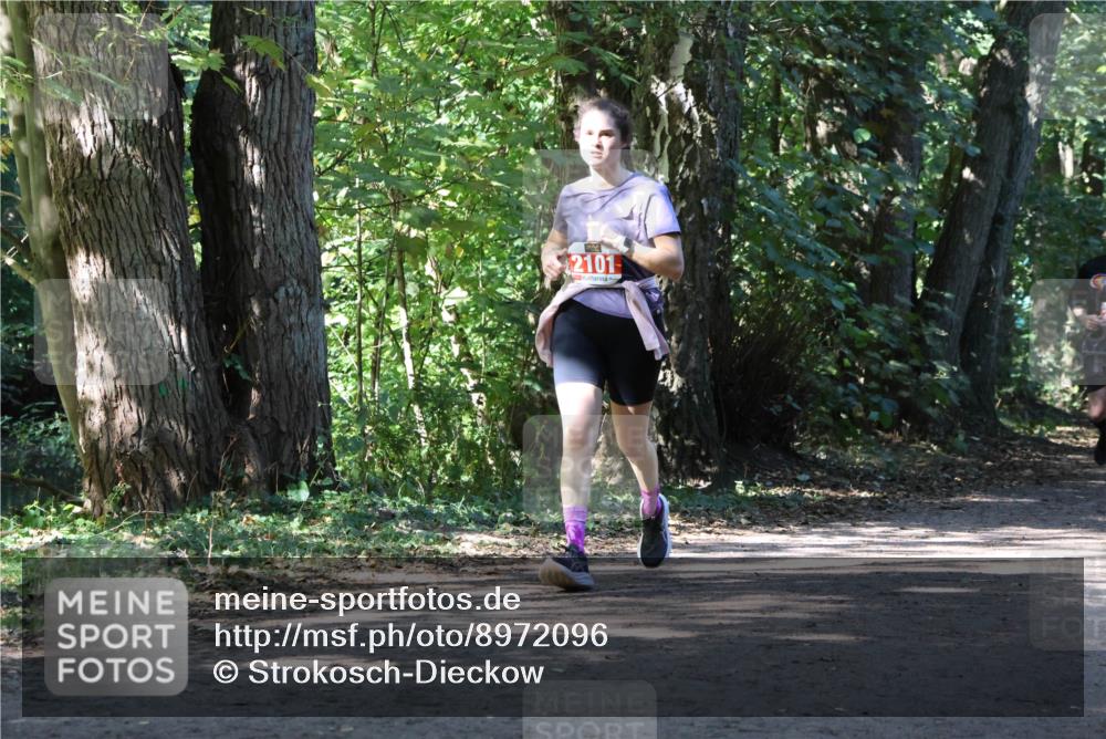 28.09.2025 - 33. Volkslauf durch das schöne Alstertal Strokosch-Dieckow http://msf.ph/oto/8972096 28.09.2025 12:29:51 Laufen 2101 meine-sportfotos.de
