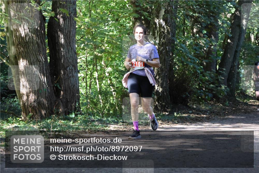 28.09.2025 - 33. Volkslauf durch das schöne Alstertal Strokosch-Dieckow http://msf.ph/oto/8972097 28.09.2025 12:29:51 Laufen 2101 meine-sportfotos.de