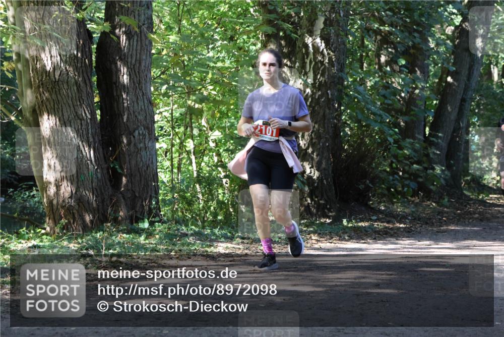 28.09.2025 - 33. Volkslauf durch das schöne Alstertal Strokosch-Dieckow http://msf.ph/oto/8972098 28.09.2025 12:29:51 Laufen 2101 meine-sportfotos.de