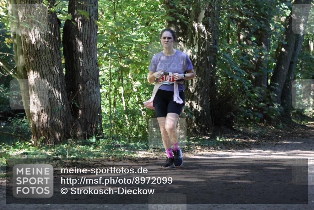 28.09.2025 - 33. Volkslauf durch das schöne Alstertal Strokosch-Dieckow http://msf.ph/oto/8972099 28.09.2025 12:29:52 Laufen 101 meine-sportfotos.de