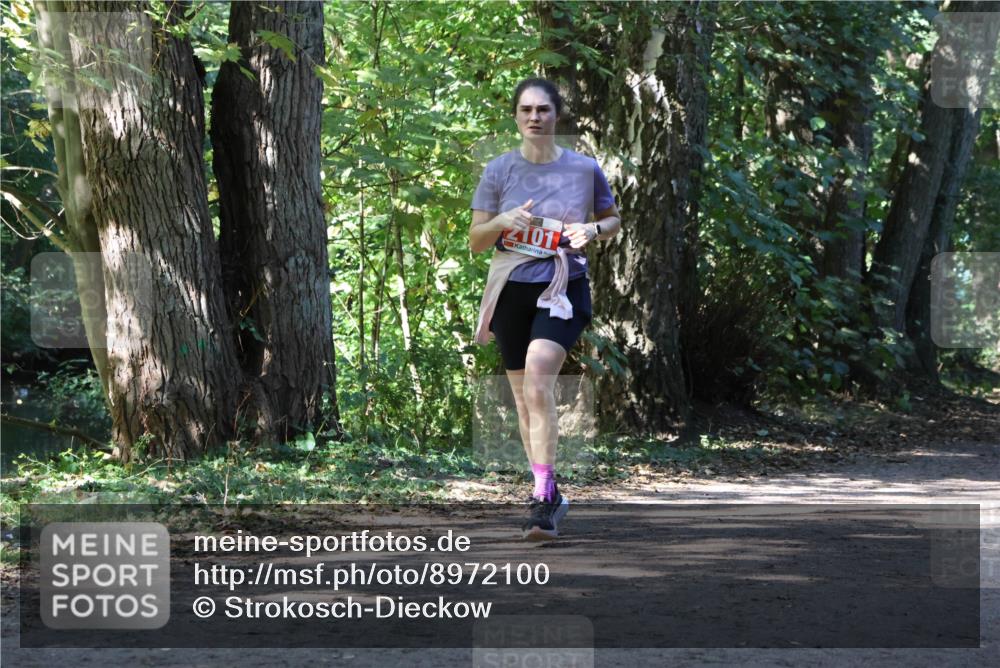 28.09.2025 - 33. Volkslauf durch das schöne Alstertal Strokosch-Dieckow http://msf.ph/oto/8972100 28.09.2025 12:29:52 Laufen 101 meine-sportfotos.de