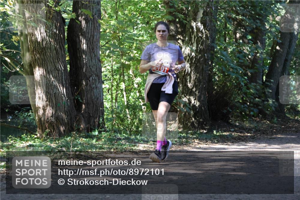 28.09.2025 - 33. Volkslauf durch das schöne Alstertal Strokosch-Dieckow http://msf.ph/oto/8972101 28.09.2025 12:29:52 Laufen 101 meine-sportfotos.de