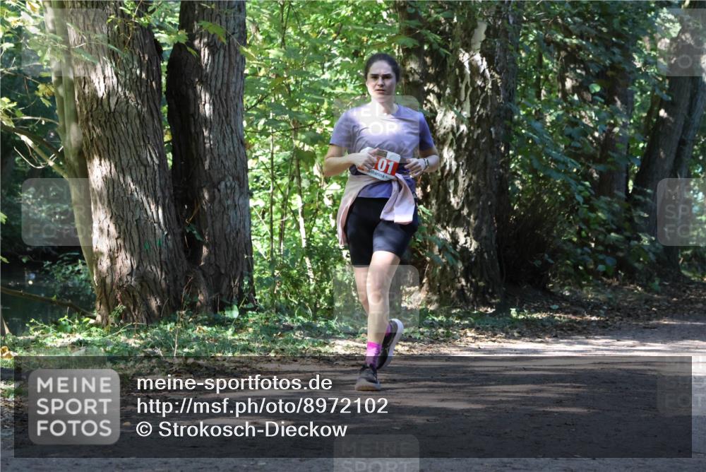 28.09.2025 - 33. Volkslauf durch das schöne Alstertal Strokosch-Dieckow http://msf.ph/oto/8972102 28.09.2025 12:29:52 Laufen 01 meine-sportfotos.de