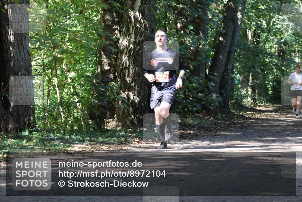 28.09.2025 - 33. Volkslauf durch das schöne Alstertal Strokosch-Dieckow http://msf.ph/oto/8972104 28.09.2025 12:29:55 Laufen 2329 meine-sportfotos.de