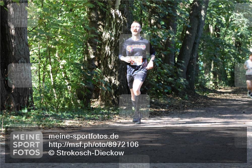 28.09.2025 - 33. Volkslauf durch das schöne Alstertal Strokosch-Dieckow http://msf.ph/oto/8972106 28.09.2025 12:29:55 Laufen  meine-sportfotos.de