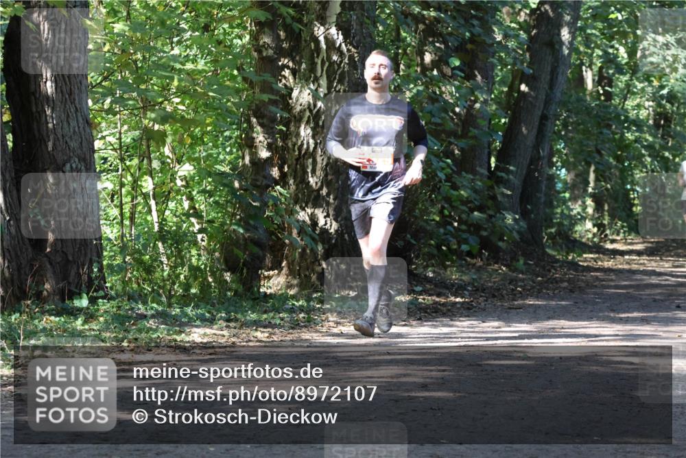 28.09.2025 - 33. Volkslauf durch das schöne Alstertal Strokosch-Dieckow http://msf.ph/oto/8972107 28.09.2025 12:29:55 Laufen  meine-sportfotos.de